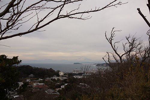 披露山公園より