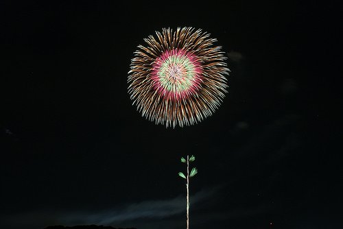 第１００回足利花火大会