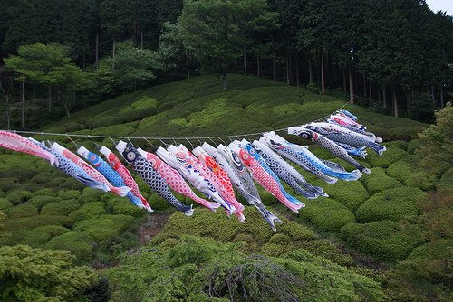 熱海姫の沢公園