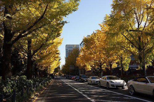 山下公園通り