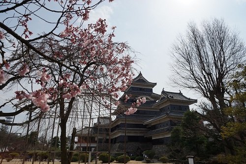 松本城